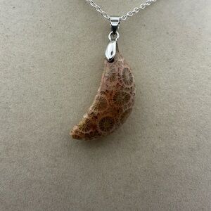 Coral Fossil Agate Crescent Moon Pendant on Silver Chain